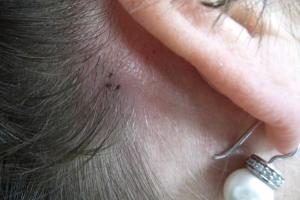 resizedimage300200-P1220484_2